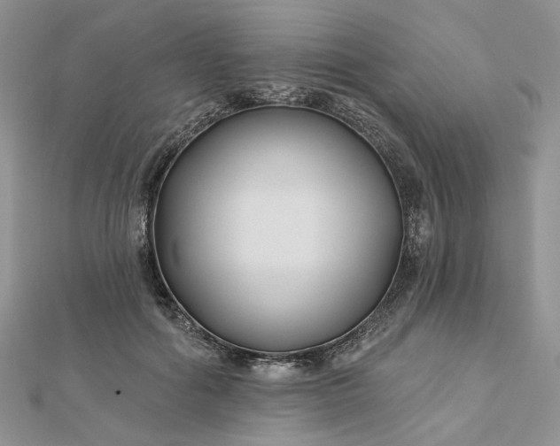 X0000112800602200909041434