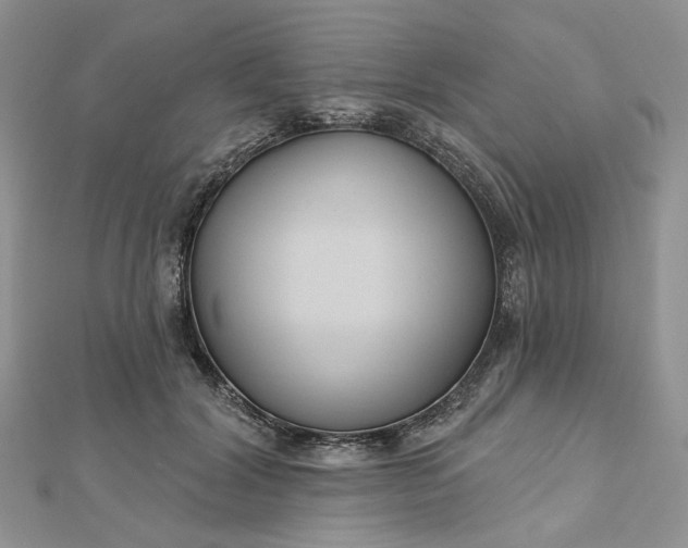 X0000112800604200909041434