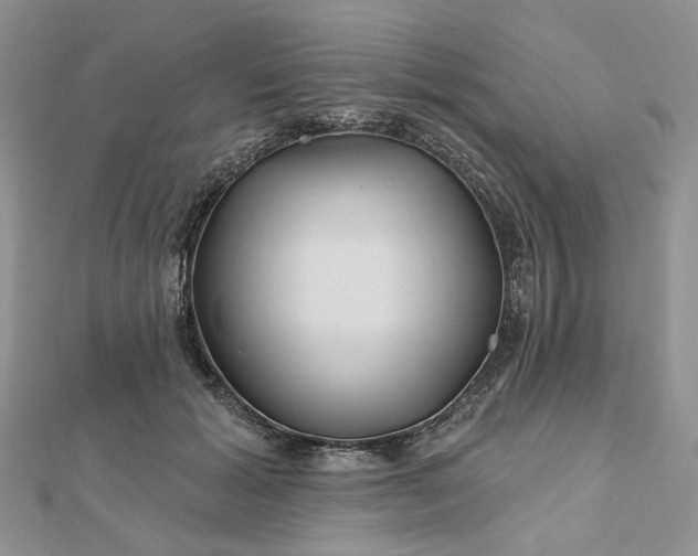 X0000112800605200909041434