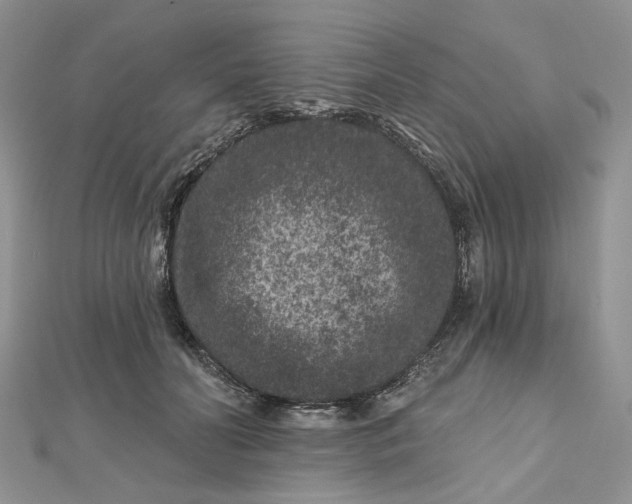 X0000112800606200909041434