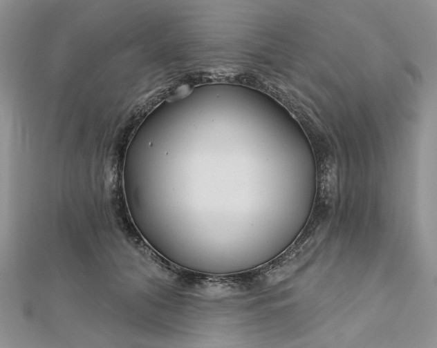 X0000112800608200909041434