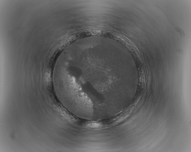 X0000112800610200909041434