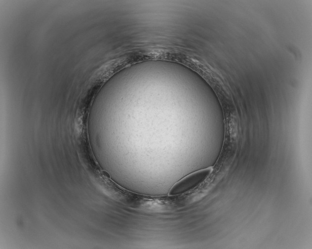 X0000112800611200909041434