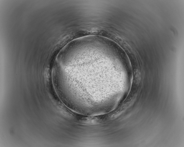 X0000112800612200909041434