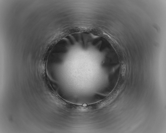 X0000112800613200909041434