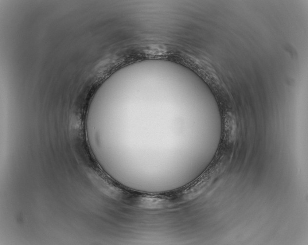 X0000112800614200909041434