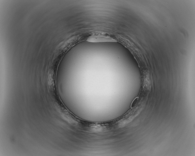 X0000112800616200909041434