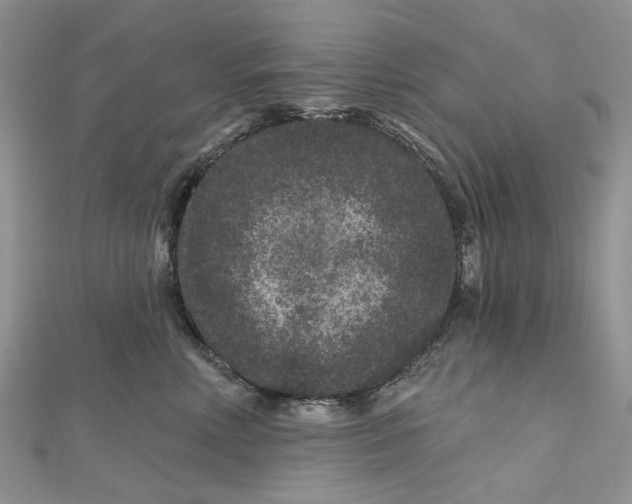 X0000112800618200909041434