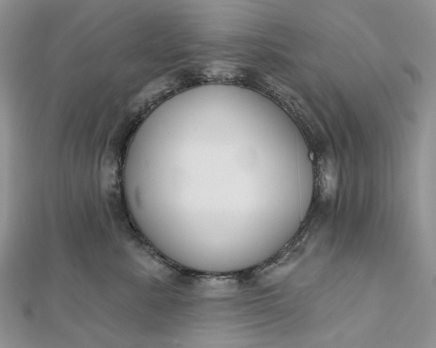 X0000112800619200909041434