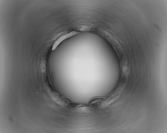 X0000112800620200909041434