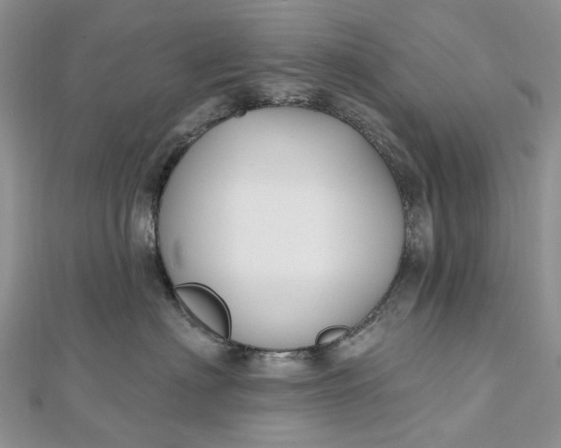 X0000112800622200909041434