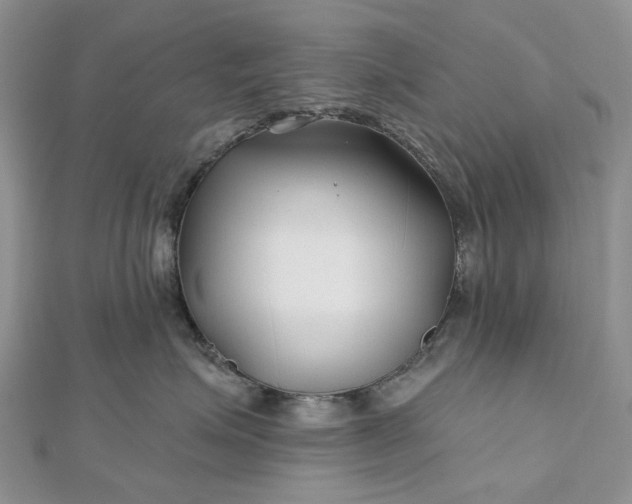 X0000112800623200909041434