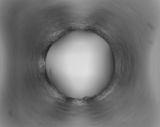 X0000112800624200909041434