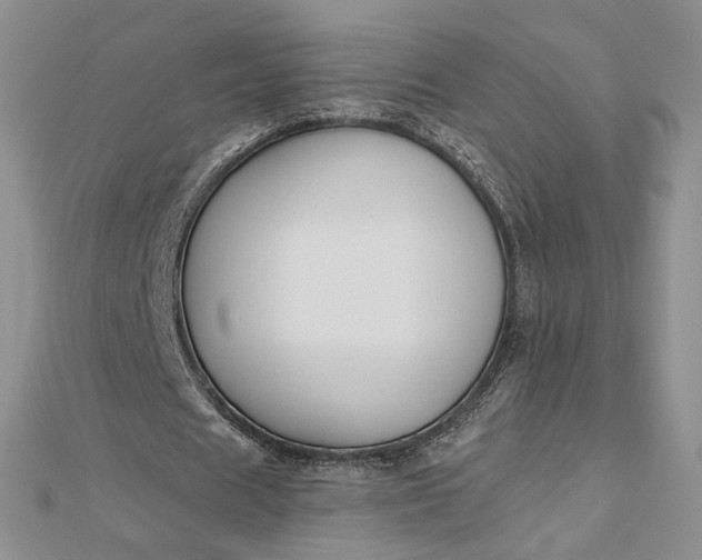 X0000112800625200909041433