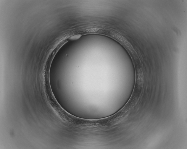 X0000112800626200909041433