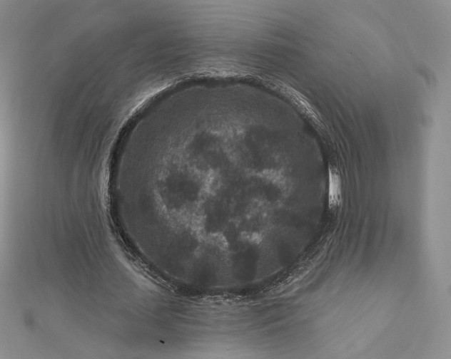 X0000112800627200909041433