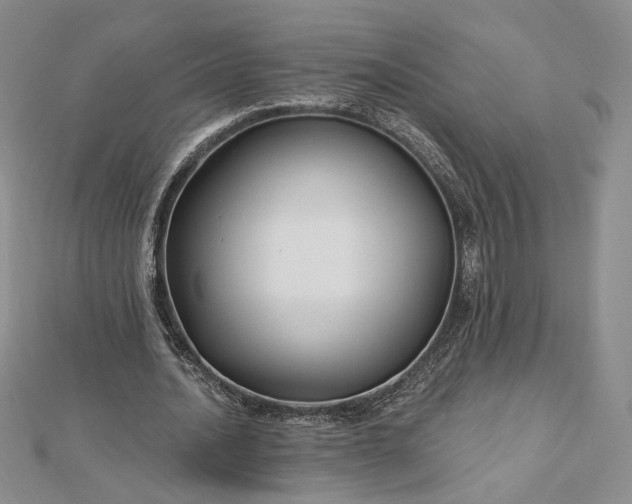 X0000112800628200909041433