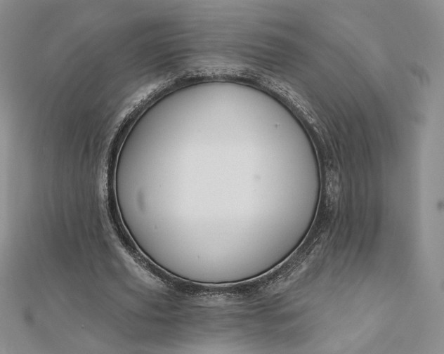 X0000112800629200909041433