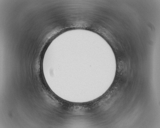 X0000112800632200909041433