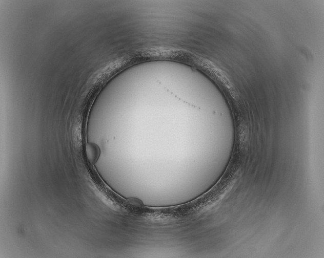 X0000112800633200909041433