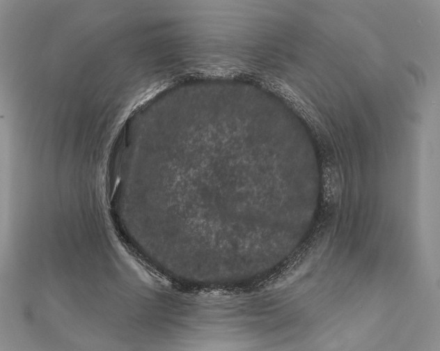 X0000112800634200909041433