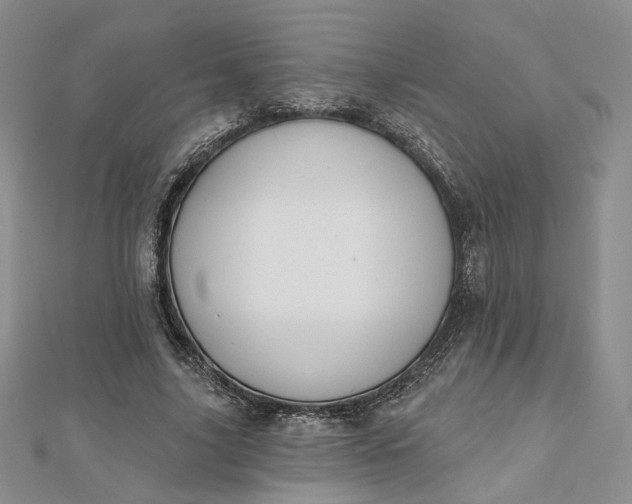 X0000112800635200909041433