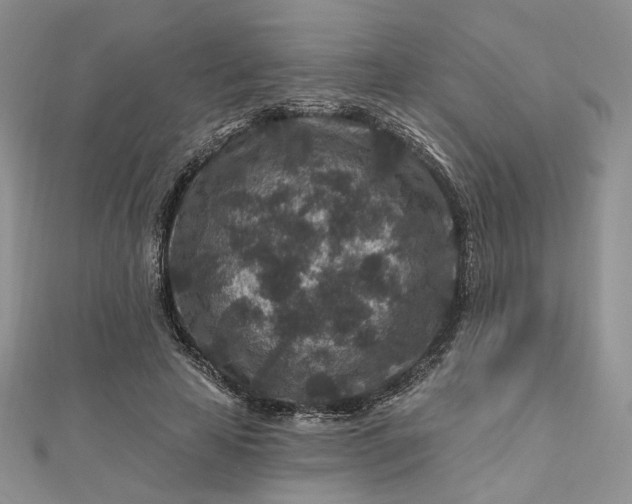 X0000112800641200909041433