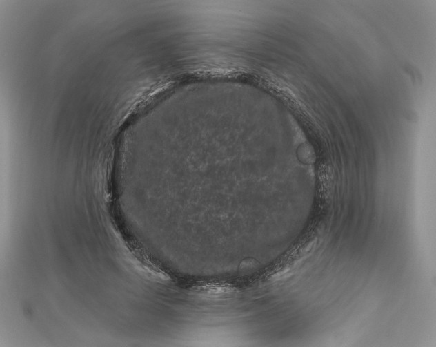 X0000112800642200909041433