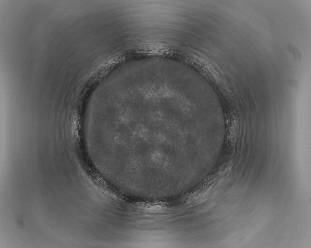 X0000112800643200909041433