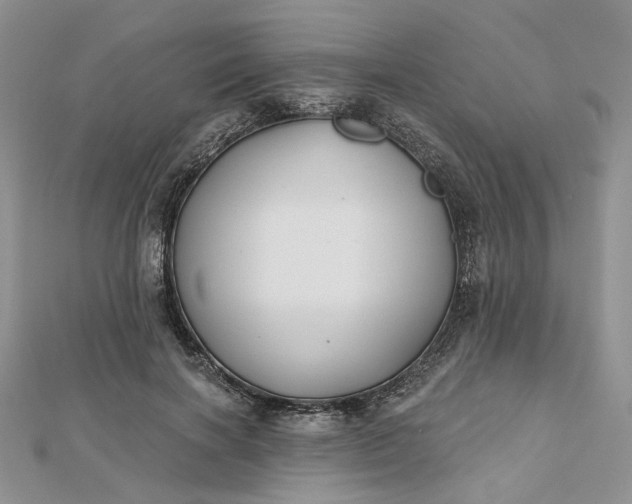 X0000112800646200909041433