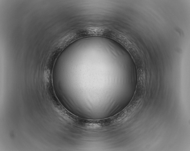 X0000112800649200909041434