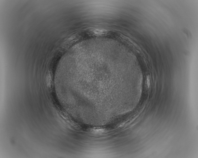 X0000112800651200909041434