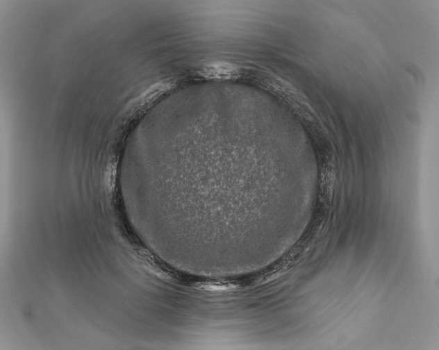 X0000112800652200909041434