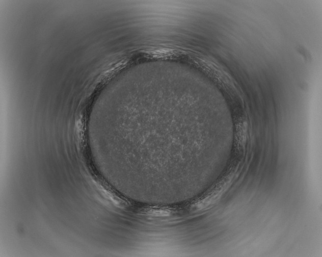 X0000112800653200909041434