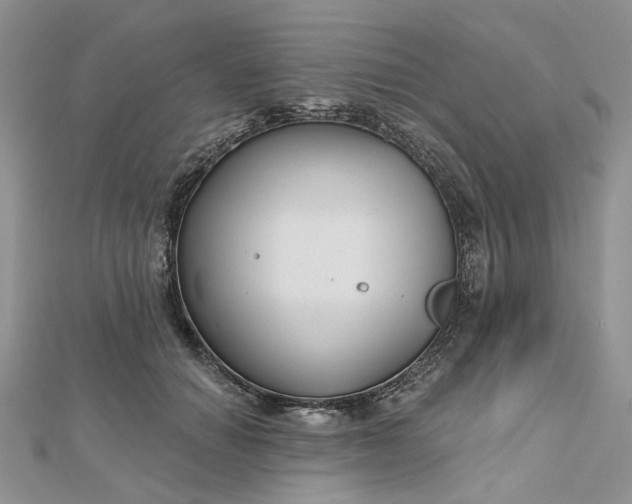 X0000112800654200909041434