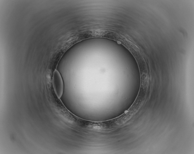 X0000112800655200909041434