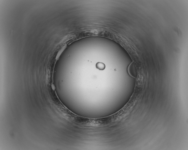 X0000112800656200909041434