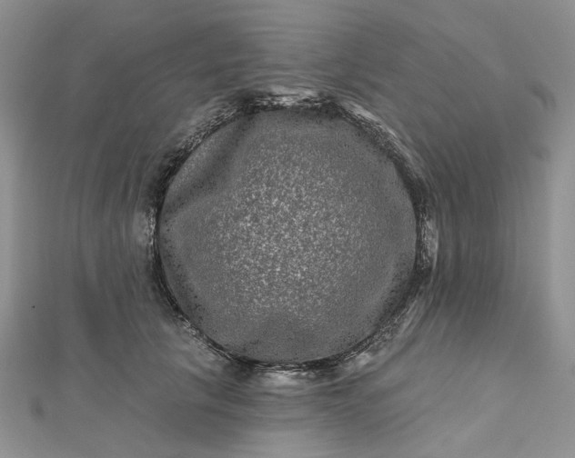 X0000112800657200909041434