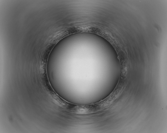 X0000112800658200909041434