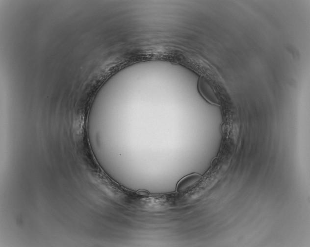 X0000112800660200909041434