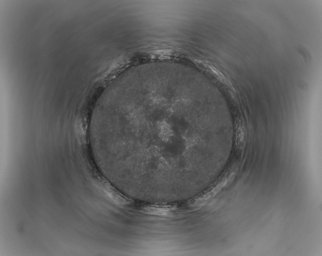 X0000112800661200909041434