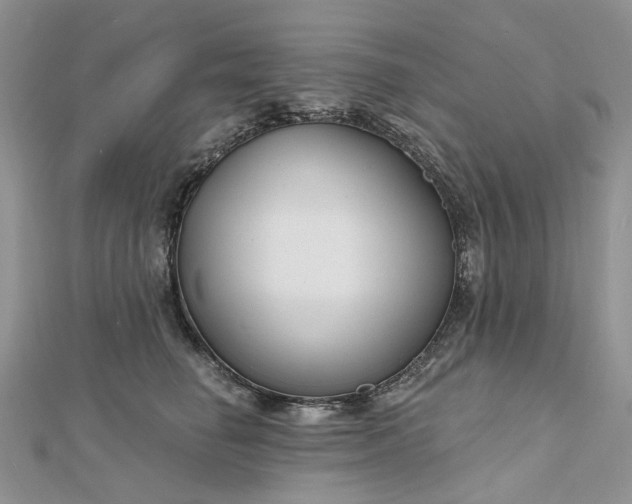 X0000112800662200909041434