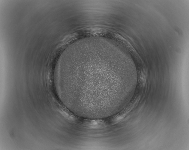 X0000112800663200909041434