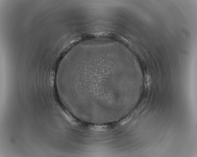 X0000112800664200909041434