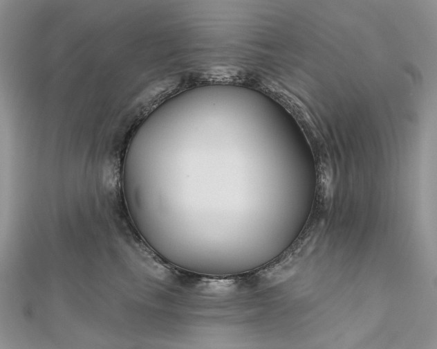 X0000112800665200909041434