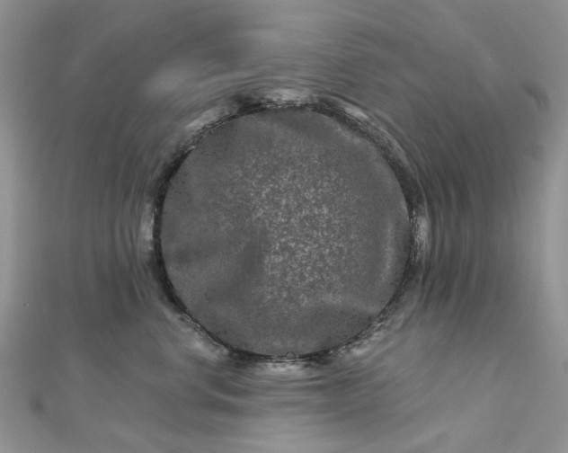 X0000112800668200909041434