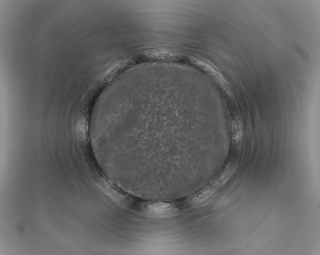 X0000112800669200909041434