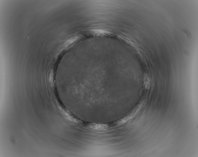 X0000112800670200909041434