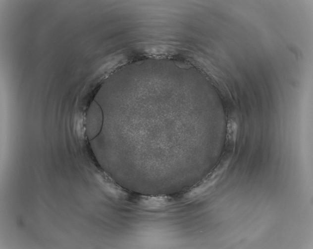 X0000112800671200909041434