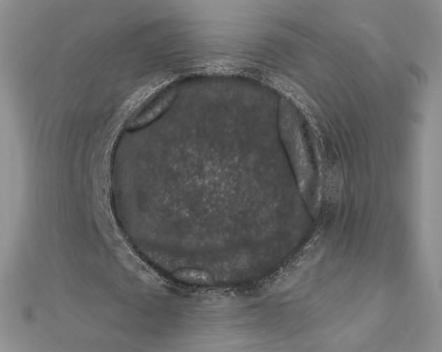 X0000112800673200909041433